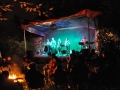 flpic_fffolk2012_ardei-16