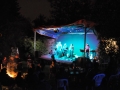 flpic_fffolk2012_ardei-19